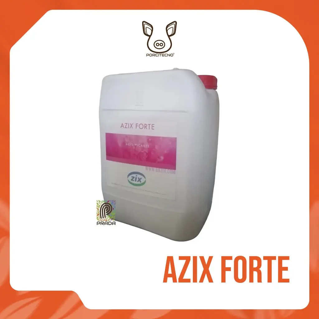AZIX FORTE X 25 LTS | PORCITECNO